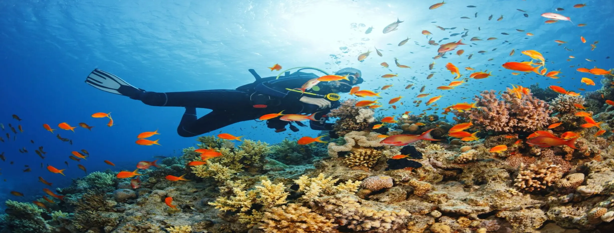 Image for Water Adventures